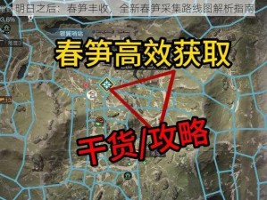 明日之后：春笋丰收，全新春笋采集路线图解析指南