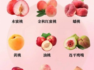 蜜桃ai97(蜜桃 AI97 的功能和特点是什么？)