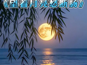 倘若月色无声时你心海深处的旋律：四下无人夜突然想起我