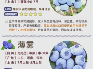 迷失岛2蓝莓的神秘用途与触发效应探究：蓝莓力量揭秘之旅