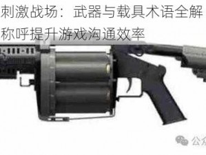 绝地求生刺激战场：武器与载具术语全解 精准掌握枪械载具称呼提升游戏沟通效率