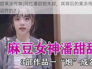 潘甜甜果冻传媒(网红潘甜甜失踪，其背后的果冻传媒是如何运作的？)