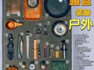 荒岛求生必备：十样关键物品，保障生存安全与健康