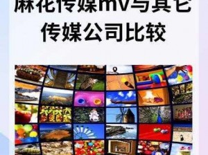 麻花传媒 MV 国产在线观看使用方法，海量资源随意畅享