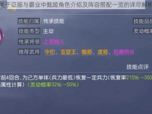 关于征服与霸业中甄姬角色介绍及阵容搭配一览的详尽解析