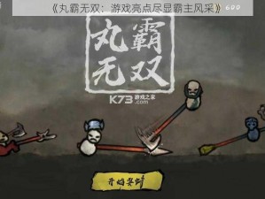 《丸霸无双：游戏亮点尽显霸主风采》