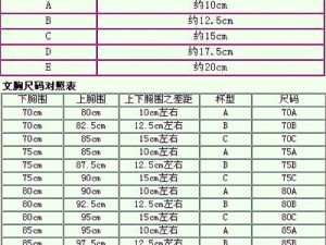 成熟 1 码 2 码 3 码分别适合不同的胸围尺寸