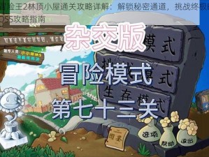 冒险王2林顶小屋通关攻略详解：解锁秘密通道，挑战终极BOSS攻略指南