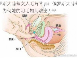 俄罗斯大荫蒂女人毛茸茸、：俄罗斯大荫蒂女人，为何她的阴毛如此浓密？