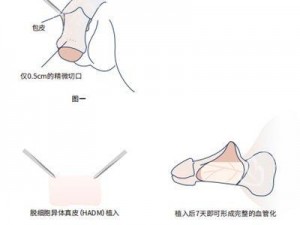 男生怎么变大变粗变长方法、男生变大变粗变长的科学方法