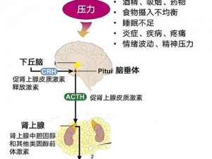 恐惧的饥饿图腾：激活生存本能，深度解读图腾力量的效用与影响