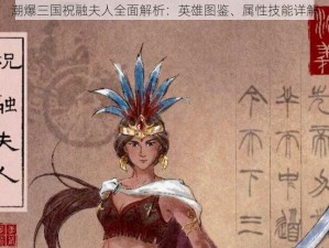 潮爆三国祝融夫人全面解析：英雄图鉴、属性技能详解