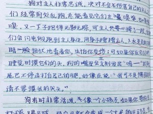 爬过来清理鞋底贱狗的作文-爬过来清理鞋底贱狗的作文