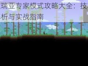 泰拉瑞亚专家模式攻略大全：技巧深度解析与实战指南