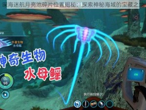 深海迷航月亮池碎片位置揭秘：探索神秘海域的宝藏之地