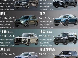 国产suv精品201_有哪些值得推荐的国产 SUV 精品 201？