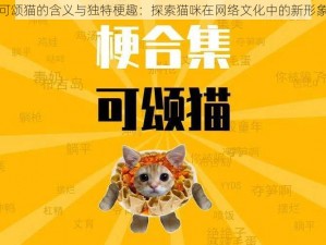 可颂猫的含义与独特梗趣：探索猫咪在网络文化中的新形象