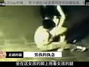 侵犯小太正Gay初精_：男子侵犯 14 岁男同学并拍摄视频，获刑三年