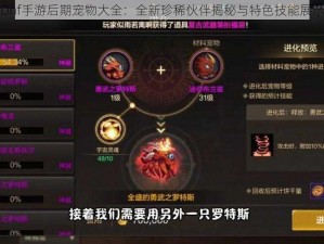 Dnf手游后期宠物大全：全新珍稀伙伴揭秘与特色技能展示