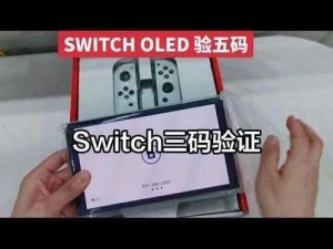 揭秘如何精准验证Nintendo Switch续航版真伪的实用指南