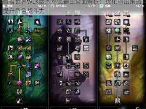 魔兽世界WLK版本鸟德输出全面解析：优化输出策略，提升角色战斗力