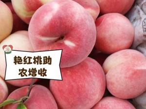 红桃视频 38.47-如何评价红桃视频 38.47 中展现的内容？