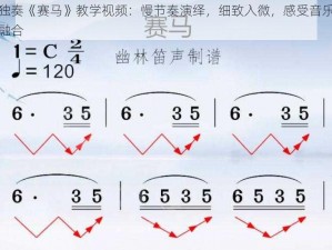 二胡独奏《赛马》教学视频：慢节奏演绎，细致入微，感受音乐与技巧的融合