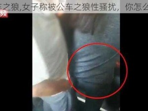 公车之狼,女子称被公车之狼性骚扰，你怎么看？