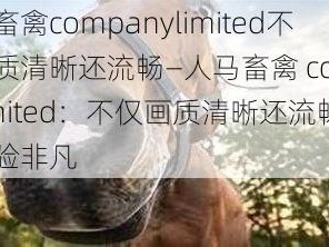 人马畜禽companylimited不仅画质清晰还流畅—人马畜禽 companylimited：不仅画质清晰还流畅，体验非凡