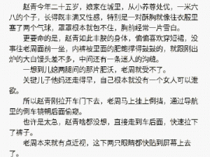 货车司机老周和跟车赵青;货车司机老周和跟车赵青的送货奇遇