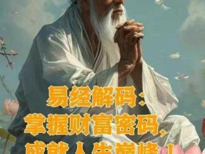 一品官老爷独门秘籍：资源分配有高招，掌握先机成就财富传奇之旅