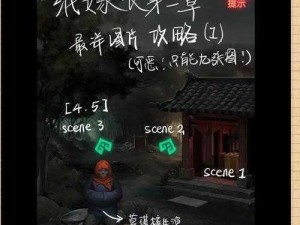 纸嫁衣2玉如意获取攻略：详细步骤揭秘，轻松掌握获取技巧