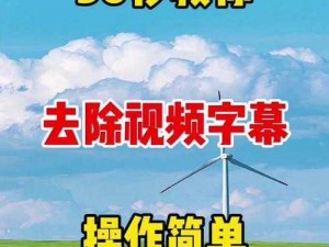 sod 中文字幕，智能字幕生成软件，轻松实现视频多语言字幕翻译