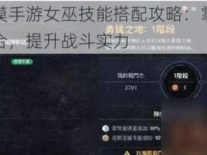 黑色沙漠手游女巫技能搭配攻略：掌握女巫技能组合，提升战斗实力