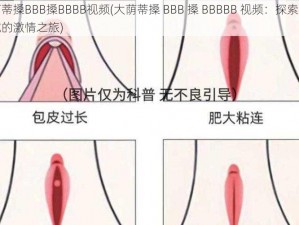 大荫蒂搡BBB搡BBBB视频(大荫蒂搡 BBB 搡 BBBBB 视频：探索私密领域的激情之旅)