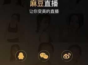 麻豆直播app下载,麻豆直播 app 官方正版免费下载