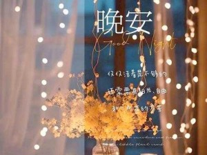 晚安为我而眠的妹妹【愿你一夜好梦，晚安，为我而眠的妹妹】