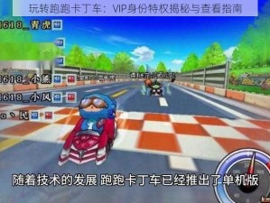 玩转跑跑卡丁车：VIP身份特权揭秘与查看指南