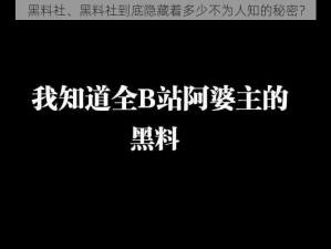 黑料社、黑料社到底隐藏着多少不为人知的秘密？