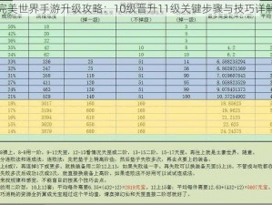 完美世界手游升级攻略：10级晋升11级关键步骤与技巧详解