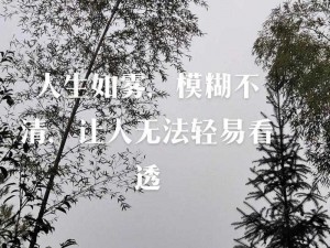 失去了的迷茫：该不该挽留？求索心中答案的歌声