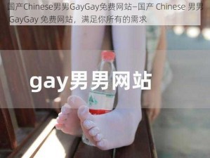 国产Chinese男男GayGay免费网站—国产 Chinese 男男 GayGay 免费网站，满足你所有的需求