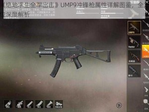 《绝地求生全军出击》UMP9冲锋枪属性详解图鉴，全方位深度解析