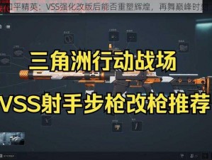 和平精英：VSS强化改版后能否重塑辉煌，再舞巅峰时刻