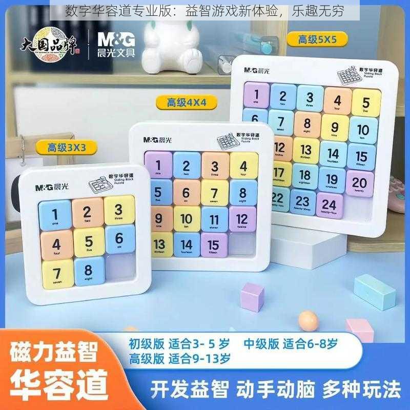 数字华容道专业版：益智游戏新体验，乐趣无穷