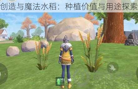 创造与魔法水稻：种植价值与用途探索