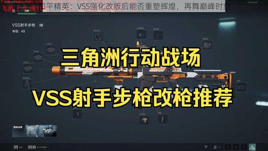 和平精英：VSS强化改版后能否重塑辉煌，再舞巅峰时刻