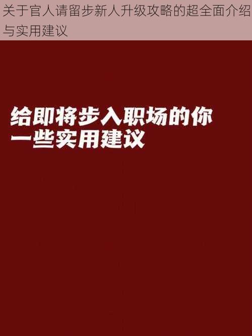 关于官人请留步新人升级攻略的超全面介绍与实用建议