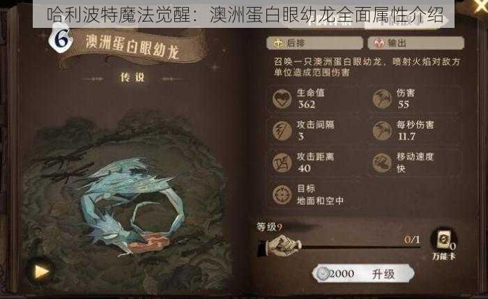 哈利波特魔法觉醒：澳洲蛋白眼幼龙全面属性介绍