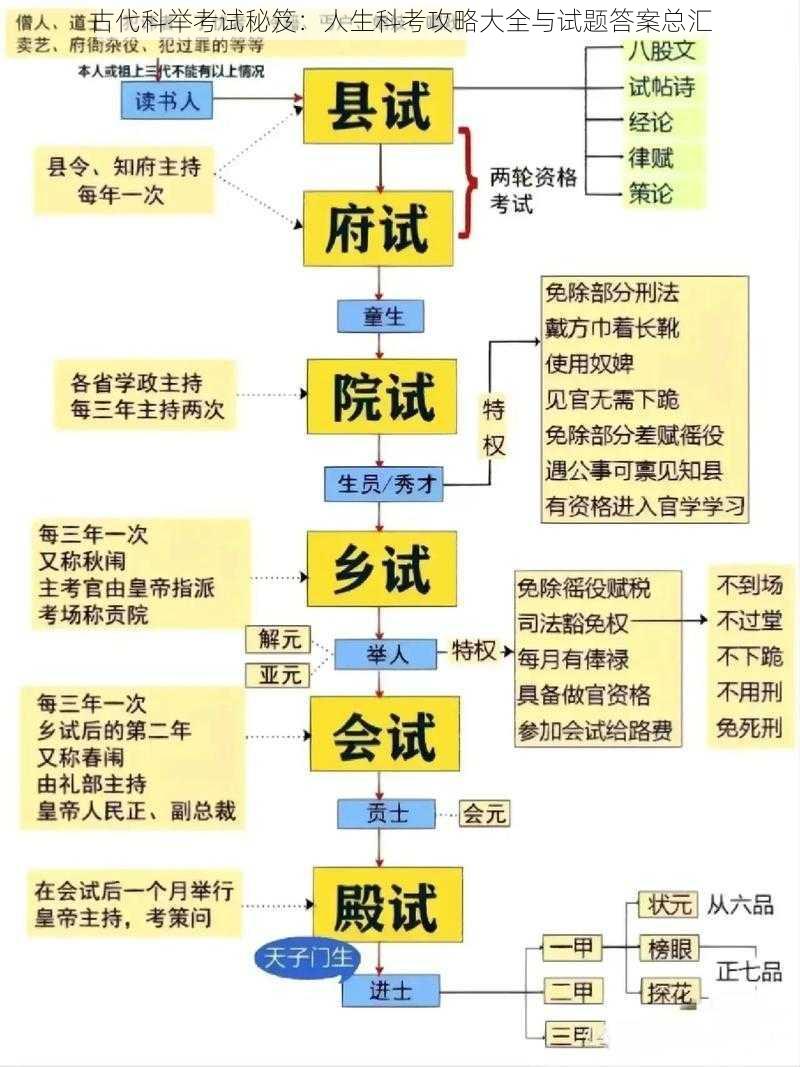 古代科举考试秘笈：人生科考攻略大全与试题答案总汇